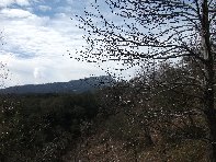 nte Cagliato-20110220 022